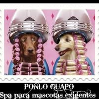 304913886_604074701507860_2218245862737152810_n