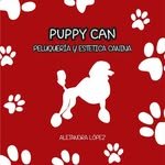 51683056_372446023572220_535921453644644352_n