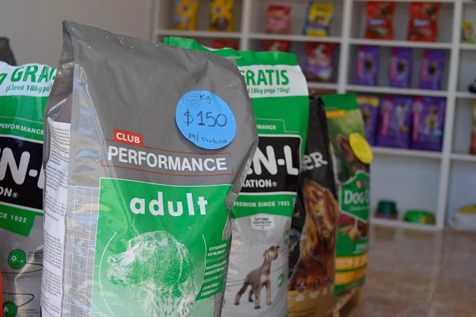 Los Mimados | Peluquería Canina (Cortes de Raza y Sanitario) y Alimentos Balanceados