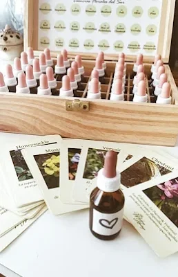 WhatsApp-Image-2020-12-03-at-15.10.01-5