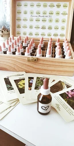 FUEGA Reiki | Terapias Alternativas y Crecimiento Personal