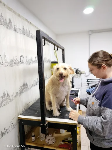 Peluquería Canina Patitas Chic | Baños, Cortes y Estética en un Ambiente Seguro y Tranquilo en Córdoba