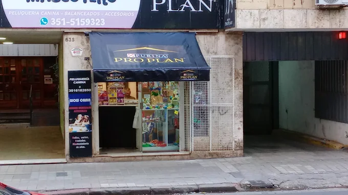 Punto Mascotero | Alimentos, Accesorios, Peluquería de Excelencia y Rascadores Gatunos