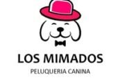 Los Mimados | Peluquería Canina (Cortes de Raza y Sanitario) y Alimentos Balanceados