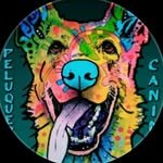 454658488_482323791095142_3561482145530416858_n-1