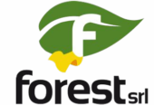 Forest SRL
